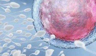 杭州三代试管移植须知，做好这些准备工作利于成功